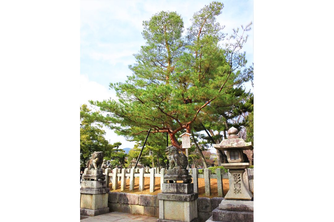 不思議を探る不思議の旅 伝説が残る出水通の寺と北野天満宮の七不思議へ