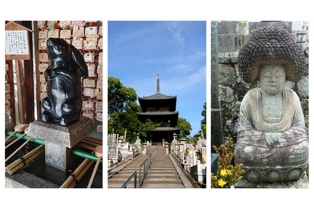 【復活「花たび」第127弾】徳川家が京都統治の拠点のひとつにした金戒光明寺へ。法然上人、熊谷直実、平敦盛、徳川秀忠、お江と歴史上の著名人の墓も勢揃いです。その後は、卯年にちなんで兎が神使いの岡崎神社へ参拝。一年のご利益を頂きましょう。旅の終わりは「花伝」にて京懐石ランチを♪