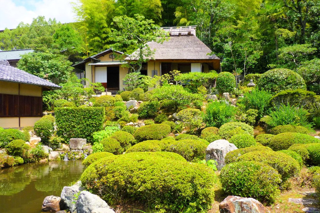 京の冬の旅、123年ぶり「 龍安寺 」へ帰還した襖絵「 芭蕉図 」初公開 !「 等持院 」霊光殿で最後の将軍・足利義昭など室町歴代将軍像の拝観へ