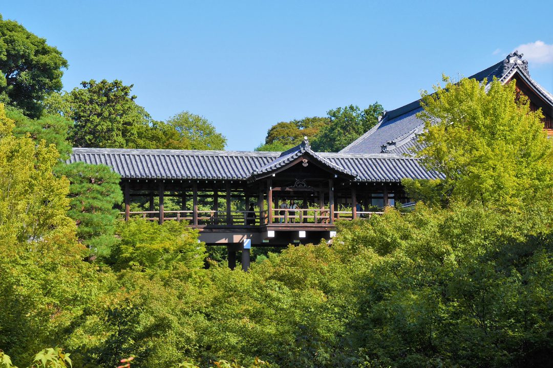 若葉が眩しい新緑さんぽ 伏見稲荷大社のご利益と初夏の風が薫る東福寺へ