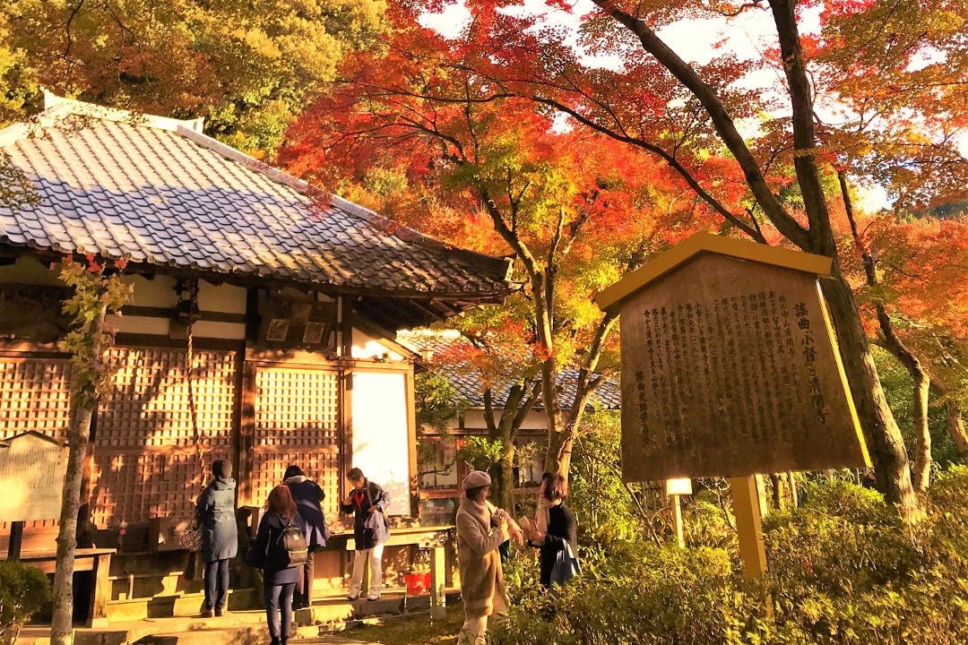 平家一門と後白河天皇 栄華極めた東山七条から紅葉色づく秋の清閑寺へ