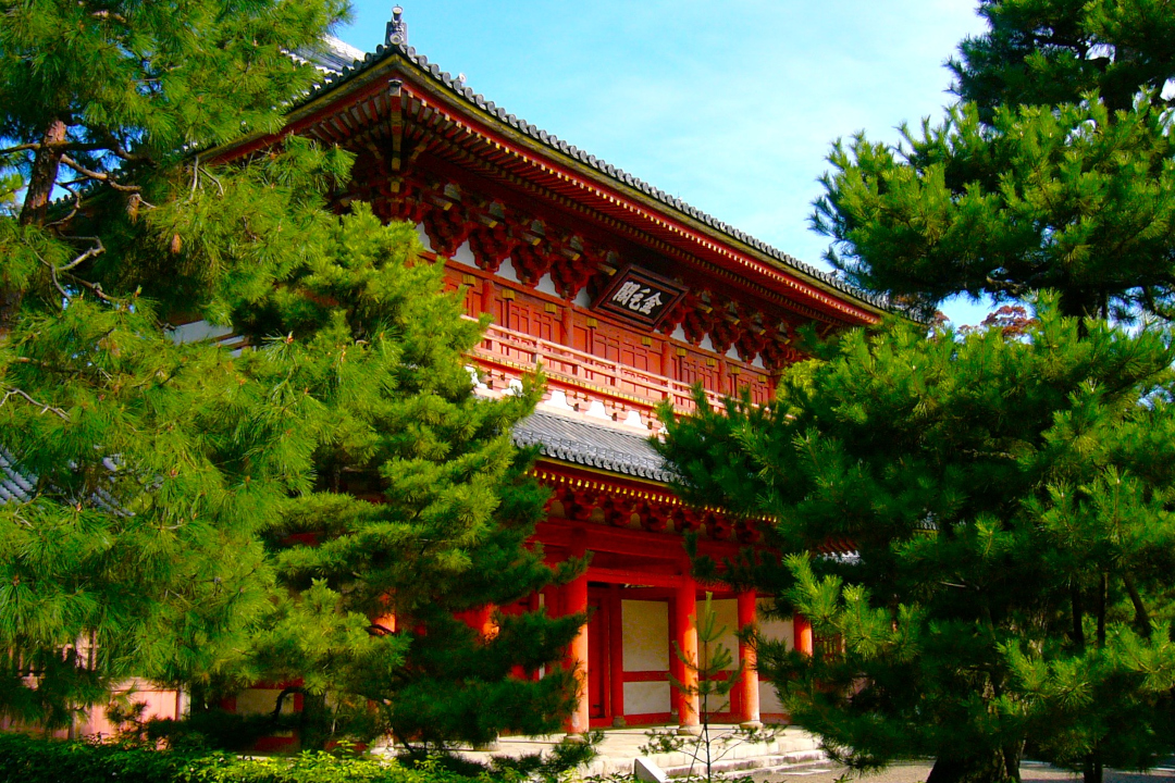 【 豊臣兄弟! 】 秀吉の弟・豊臣秀長の菩提寺【 大光院 】特別公開 京の冬の旅・狩野探幽筆の雲龍図【 法堂 】初公開の八角輪蔵【 経蔵 】