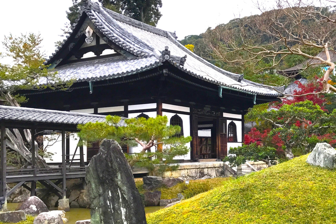 【 豊臣兄弟! 】 豊臣秀吉 と 妻・北政所ねね が眠る菩提寺【 高台寺 】 京の冬の旅・先行特別公開「 客殿襖絵 」【 八坂庚申堂 】庚申の虫封じ