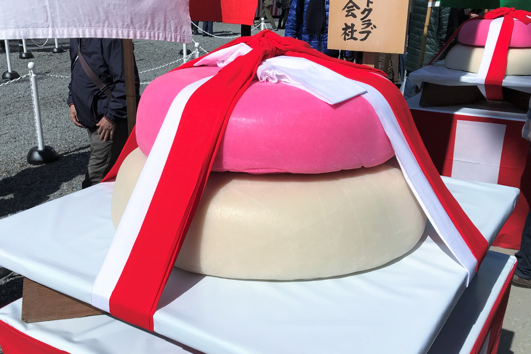 世界遺産「 醍醐寺 」最大の行事 【 五大力尊仁王会 】で無病息災を祈願 「 京の冬の旅 」特別公開!平安後期の不動明王坐像を祀る「 理性院 」へ