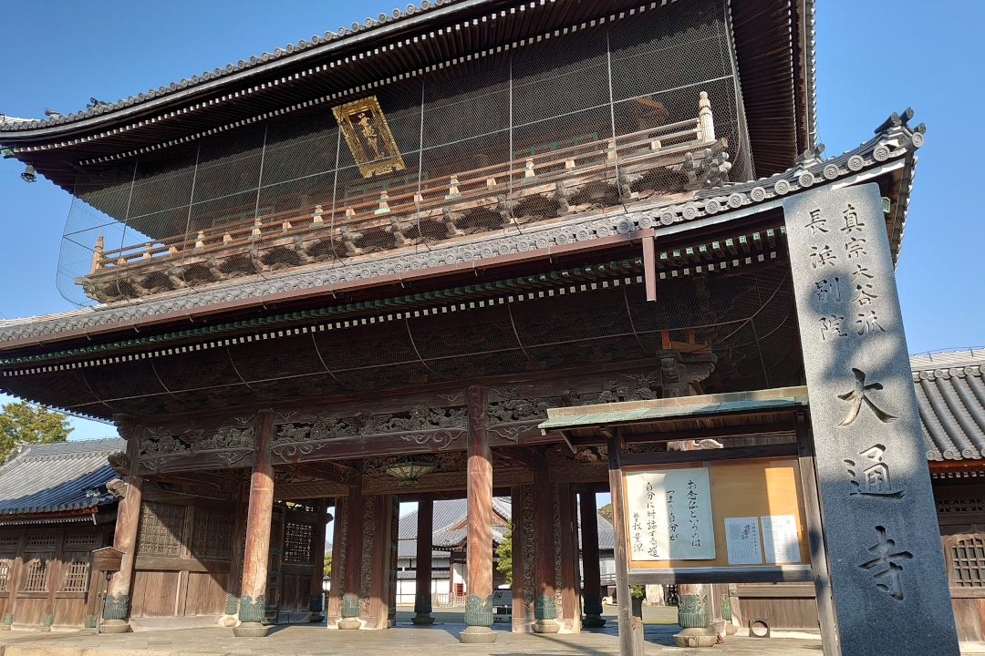 【 豊臣兄弟! 】滋賀長浜 大河ドラマの舞台として盛り上がる長浜へ 豊臣秀吉・秀長の兄弟が造った街並みを散策し、早春を告げる盆梅展へ