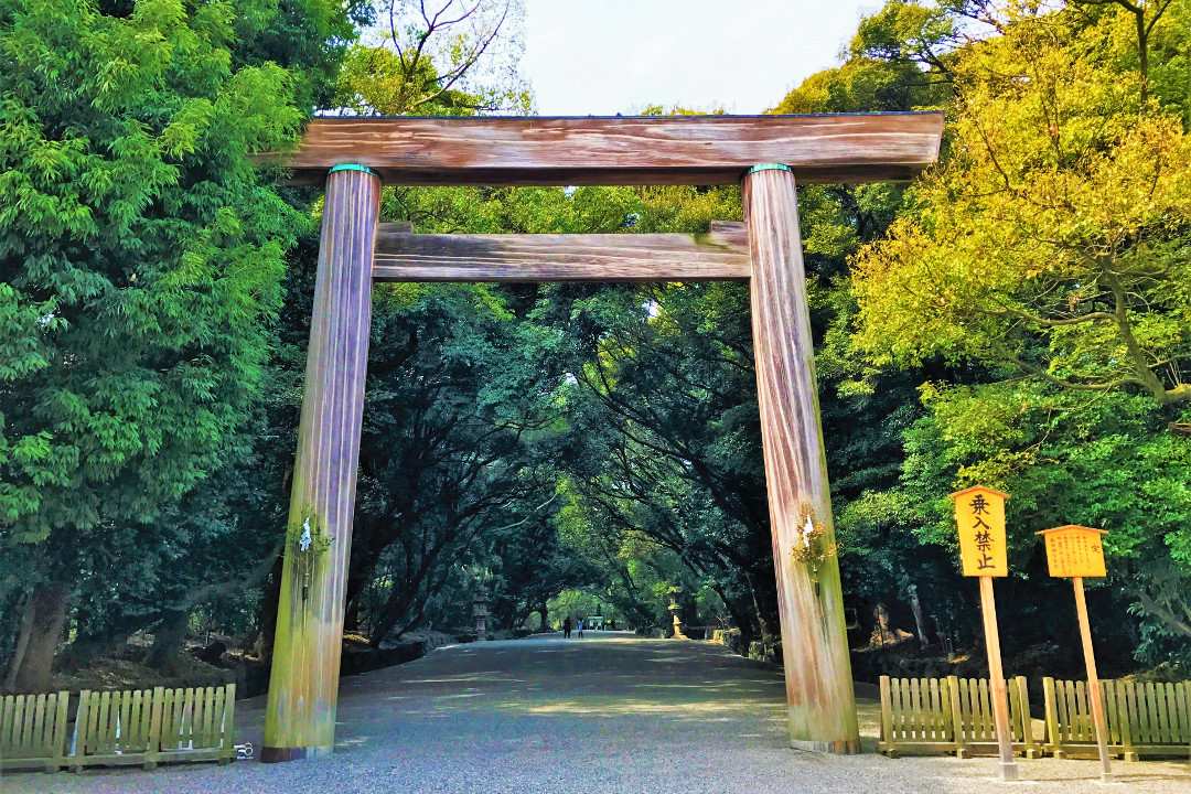 – 名古屋さんぽ -「 熱田神宮 」三種の神器の一つ“ 草薙神剣 ”を祀る 広い森に包まれる神域さんぽ、名木 ならず梅、名物 宮きしめん&きよめ餅