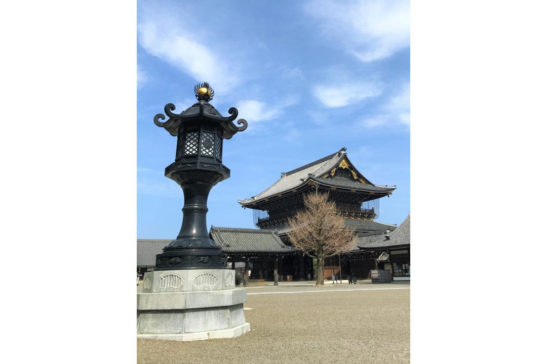 あるくキョリみじかめシリーズ♪ 若村講師がイヤホンでじっくりガイド! 特別公開「 東本願寺・御影堂門 」梅が咲く「 渉成園 」「 文子天満宮 」