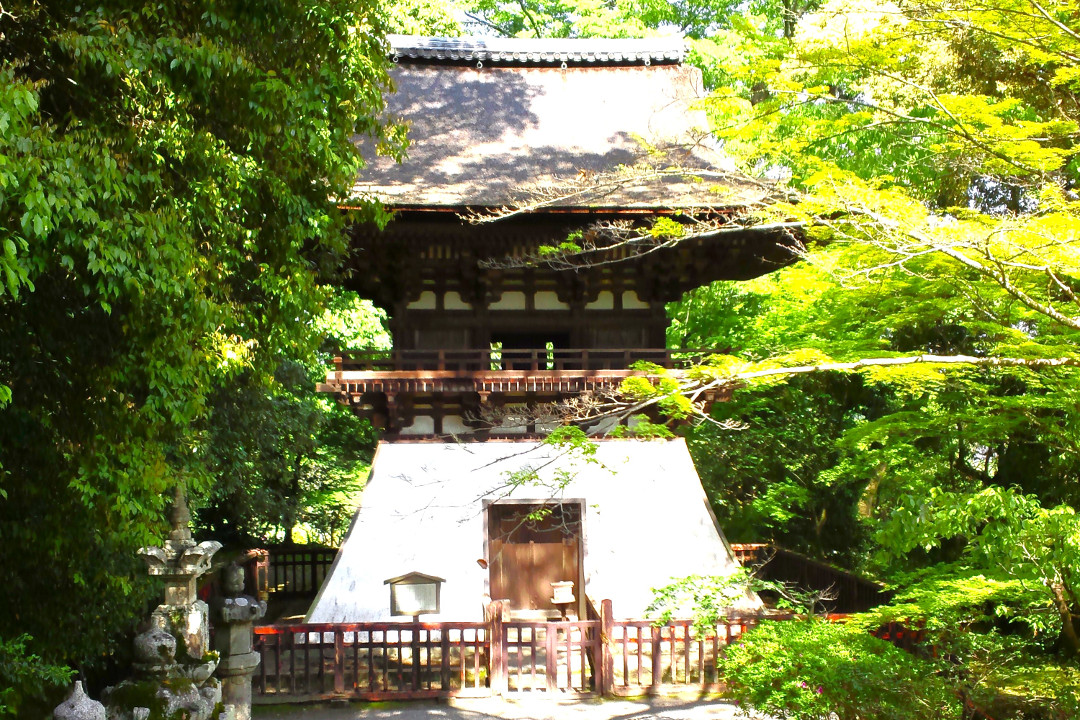 紫式部『 源氏物語 』を起筆したと伝わる古刹「 石山寺 」梅林が咲き誇る 石山寺の境内【 光る君へ びわ湖大津 大河ドラマ館 】鑑賞 & 湖国料理「 近江牛 」