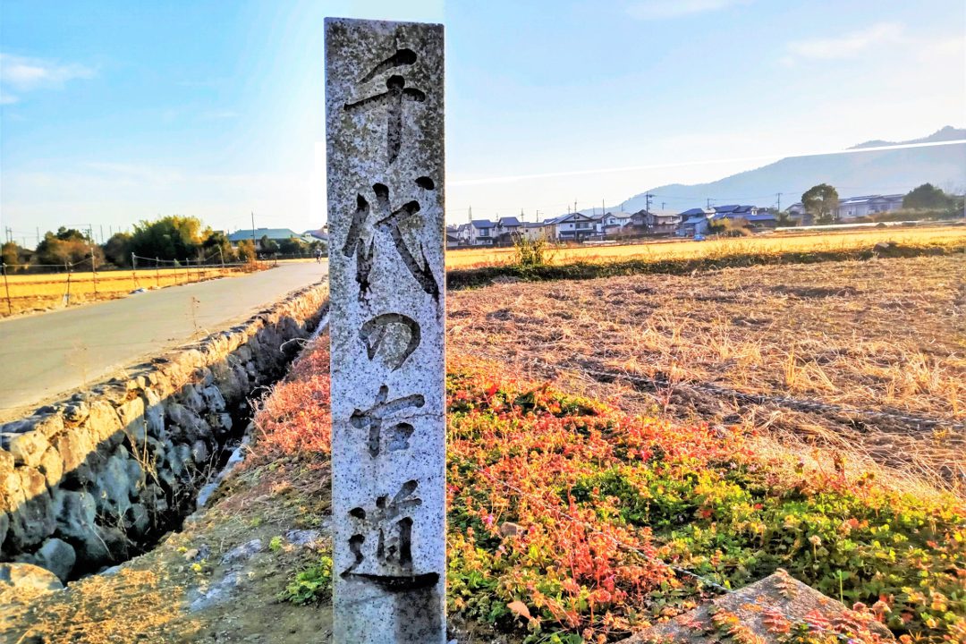 悠久の雅を伝える「 旧嵯峨御所 大覚寺 」天皇貴族が愛した観月の名所 広沢池から大覚寺へ、平安の都人が歩いた風光明媚な「 千代の古道 」へ