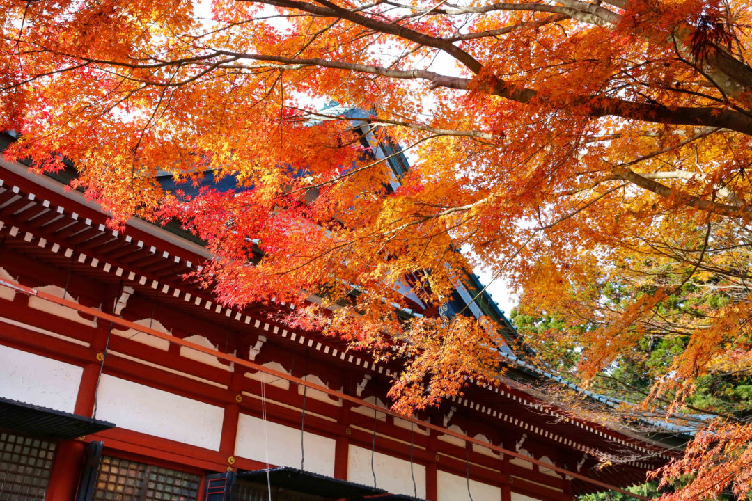 歴史秘話と界隈散歩