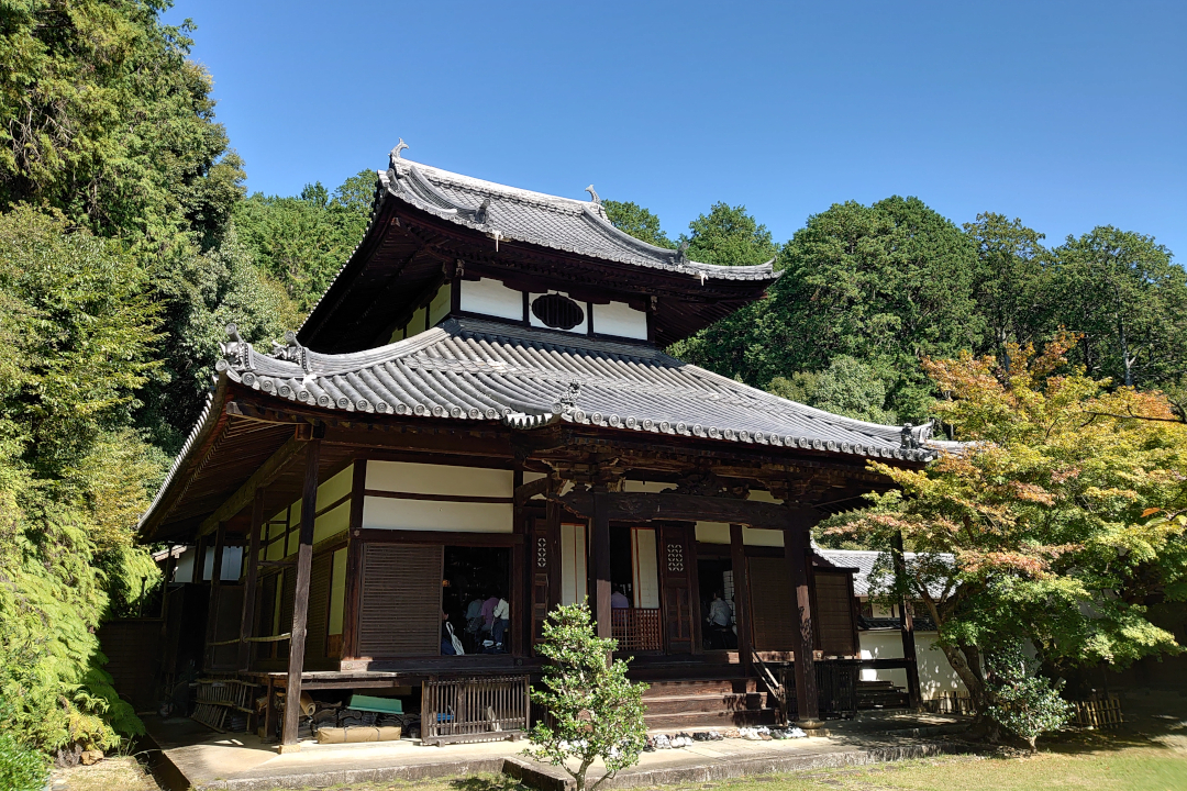 鳴滝エリアに佇む隠れた桜の名所「西寿寺」特別拝観と京都を眼下に 絶景を堪能!その後も知られざる鳴滝の史跡、寺院、自然を探訪します