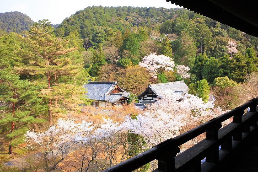 あるくキョリみじかめシリーズ♪ 若村講師がイヤホンでじっくりガイド! 桜が咲く♪春爛漫の「 南禅寺 」三門&方丈庭園 と 琵琶湖疏水の史跡巡り