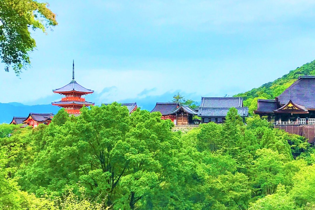 修復完了! 世界遺産「 清水寺 」美しい檜皮葺きの屋根が輝く本堂 清水の舞台から眺める錦雲渓の「 桜 」奥の院や泰産寺など諸堂参拝へ
