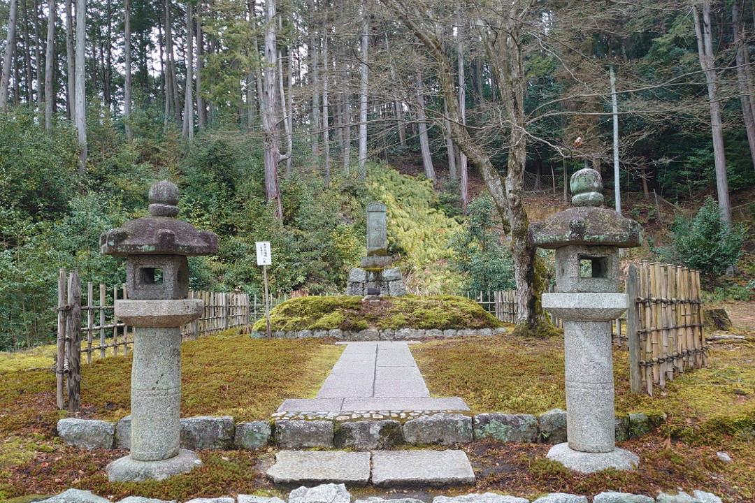 洛北の圓光寺の「枝垂れ桜」と大河ドラマで話題の徳川家康の墓参りへ! 眺望が見事な修学院から伝説の残る一乗寺界隈の「隠れ桜」を巡ります