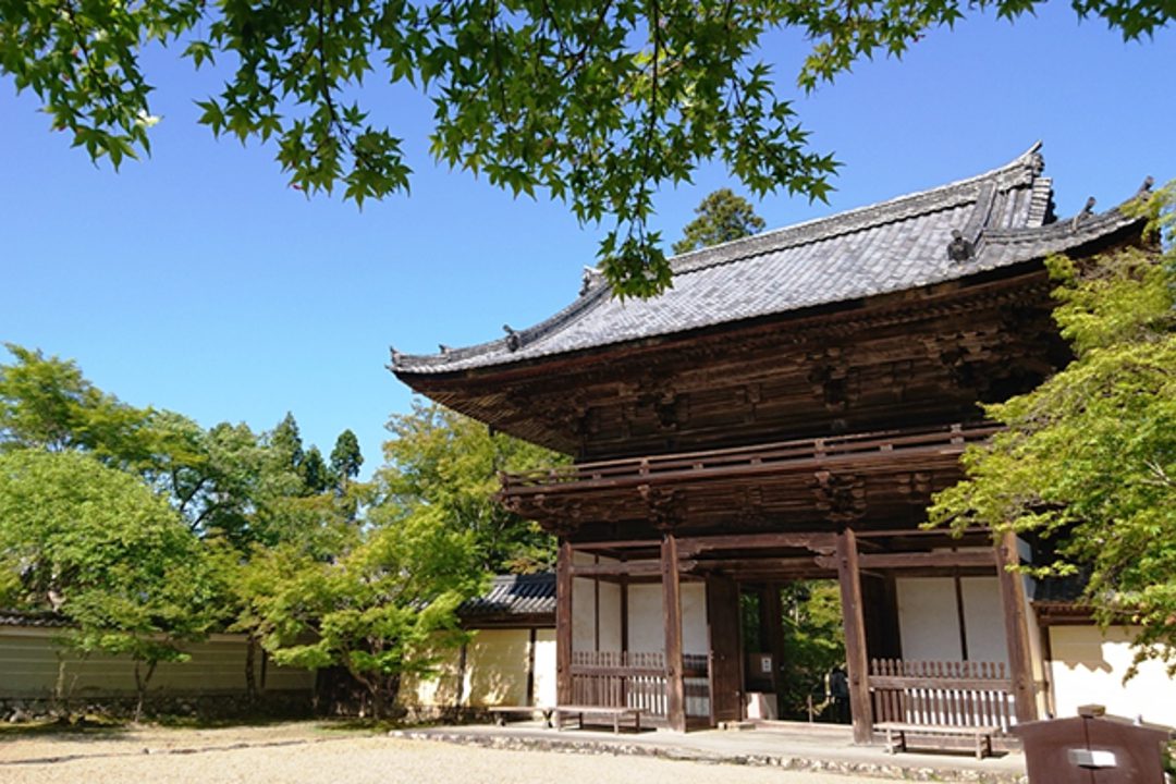 神護寺から大覚寺へ ~真言密教の春・空海が見た風景~  神護寺の国宝の本尊薬師如来立像も拝観