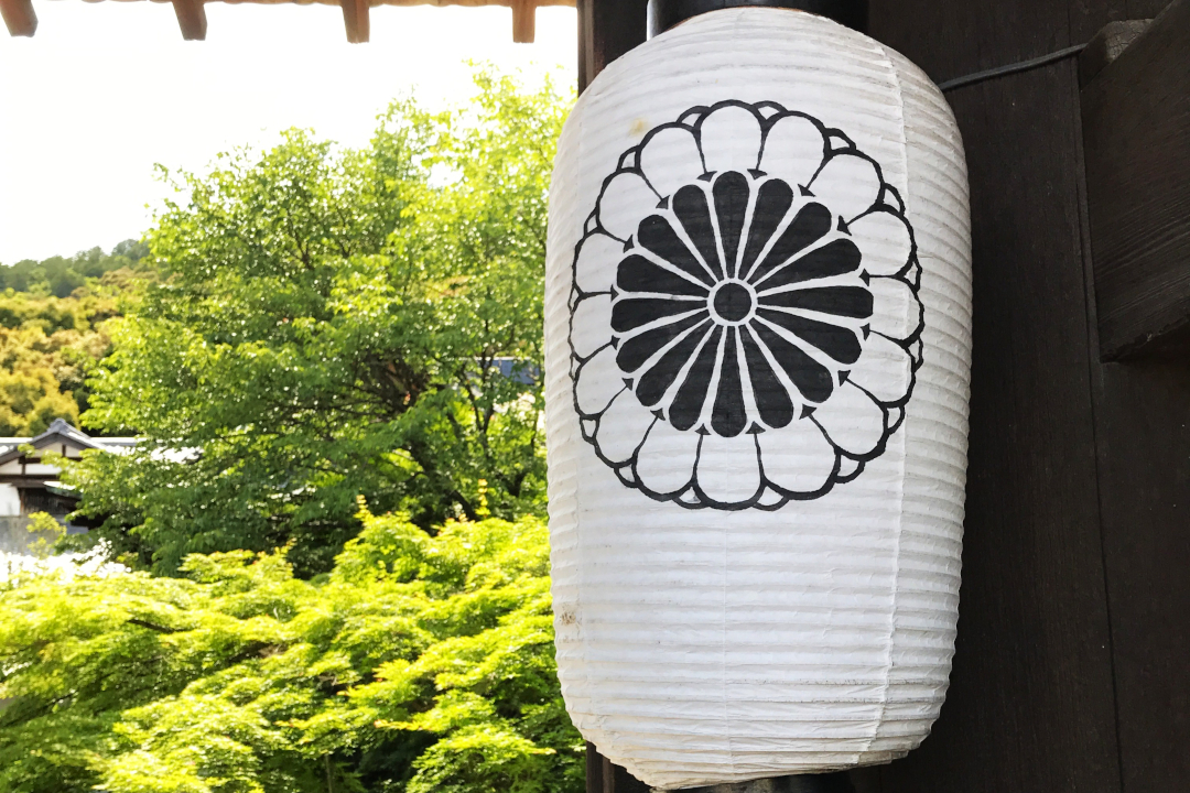 奇跡の御開帳!335年ぶりに姿を現した【 大雲寺 】秘仏十一面観音像 遅咲きの紅しだれ桜が庭園を彩る【 実相院 】& 古代磐座信仰の古社へ