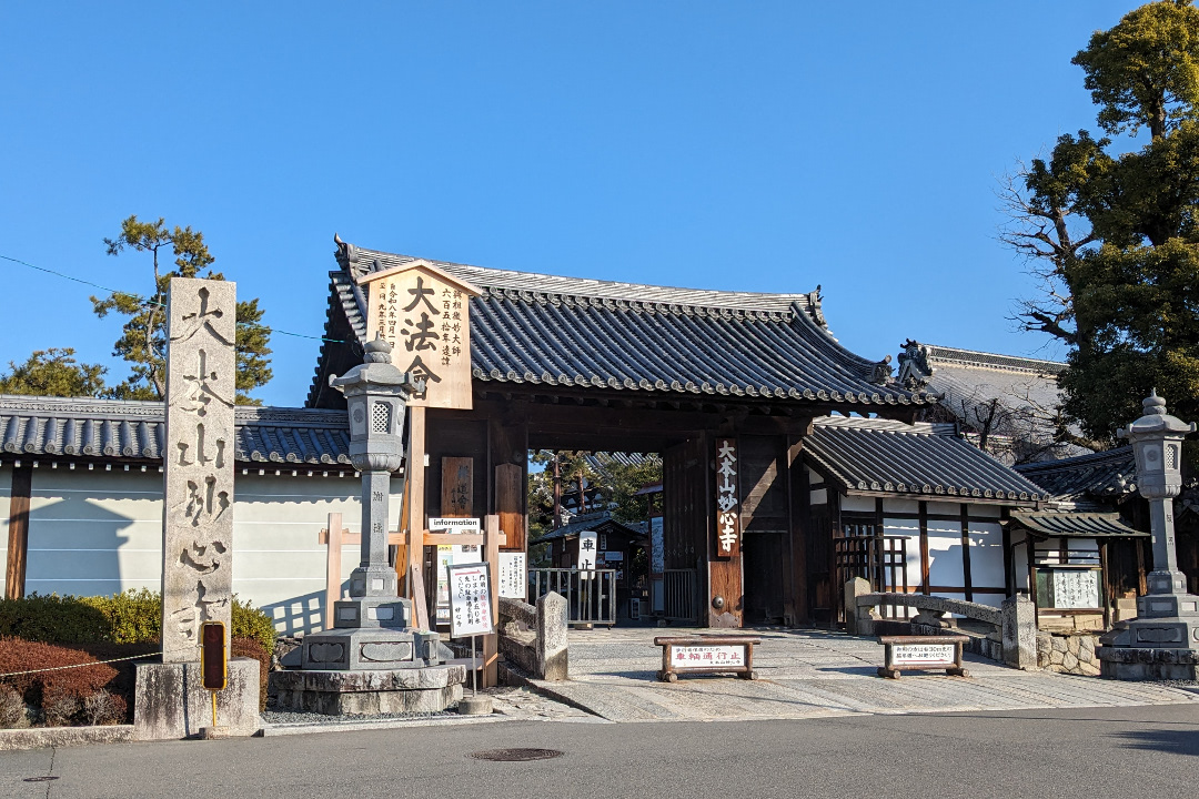 特別公開「 大法院 」へ!楓と苔の緑に包まれる庭園を眺め抹茶で一服♪ 京都屈指の大伽藍を誇る「 妙心寺 」で狩野探幽の描いた雲龍図を鑑賞