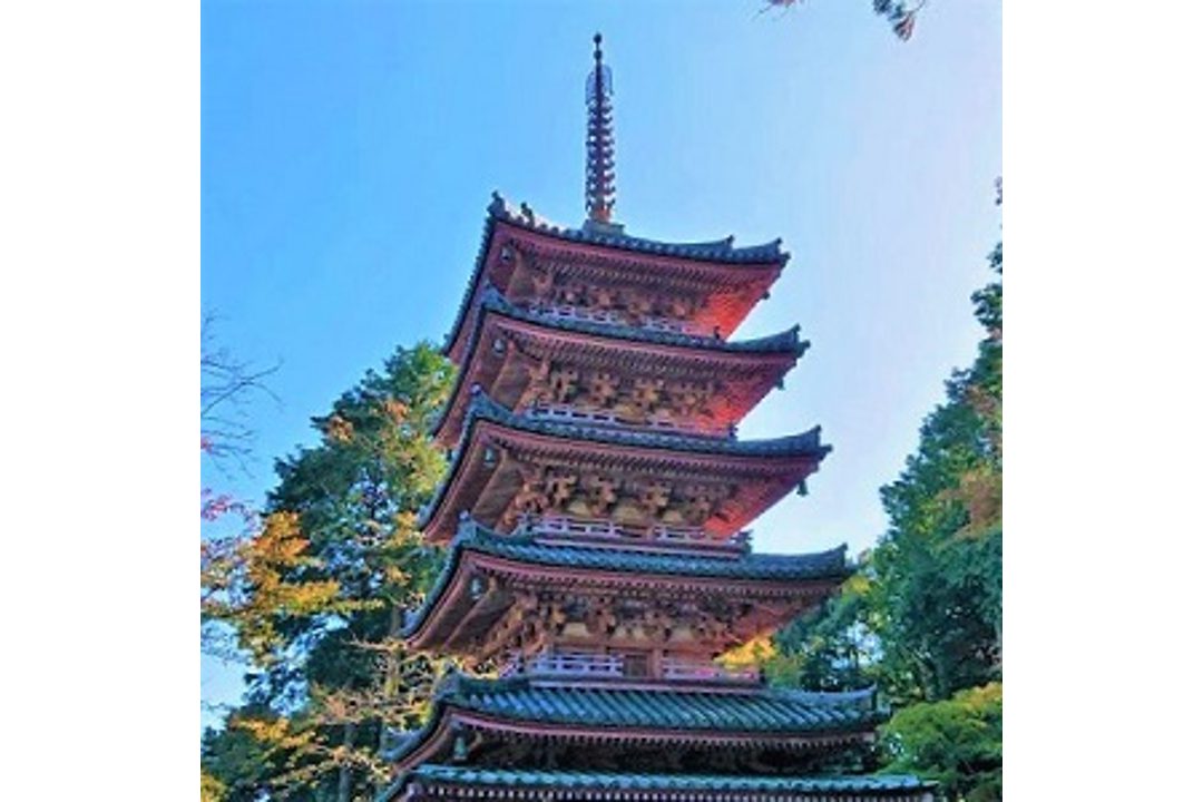 山城ハイキング♪ 地域ガイド「 ふるさと案内・かも 」タイアップ 雲上の「 海住山寺 」青モミジと寺宝参拝、幻の都「 恭仁京 」跡へ