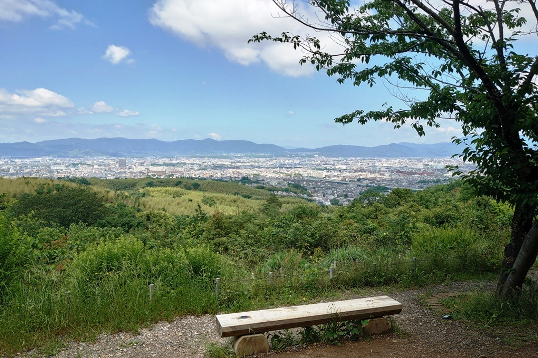絶景の大岩山展望台から今話題の美しい新名所「深草の竹林」を踏破! 弘法ヶ滝などの秘境をめぐって、最後は還幸祭が戻る伏見稲荷大社へ