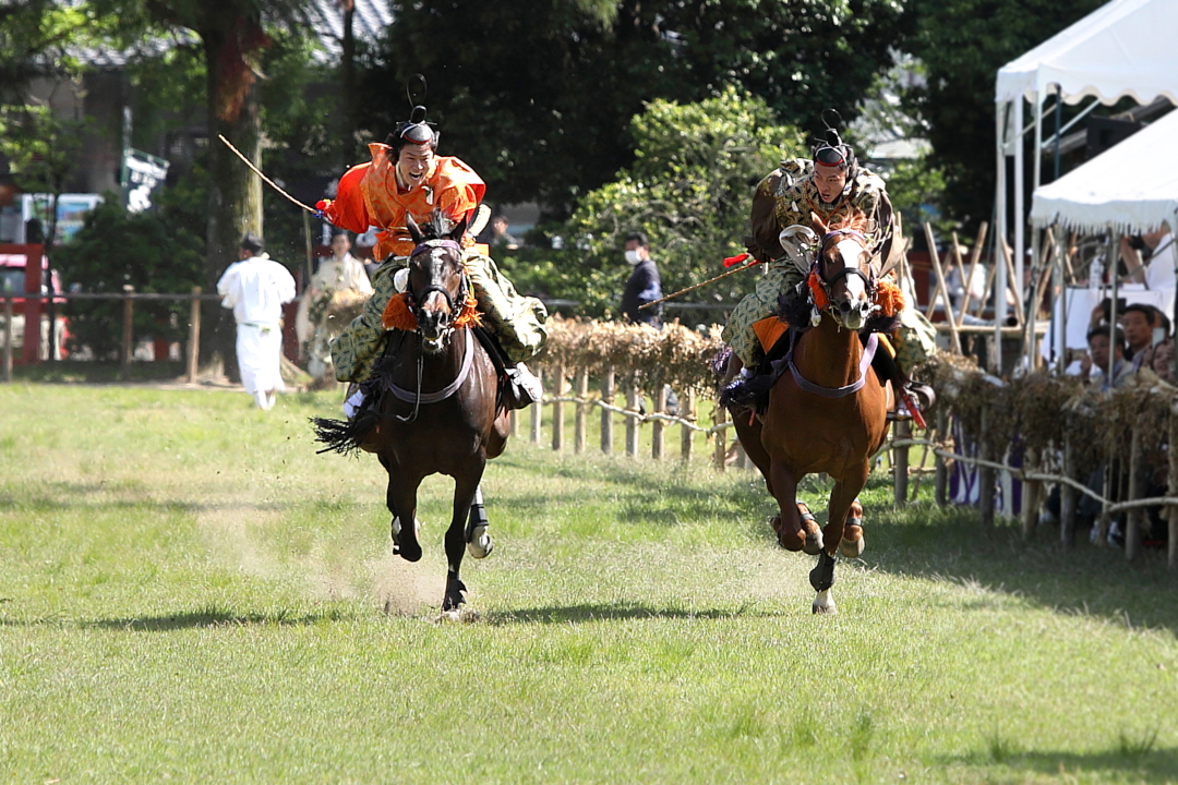 午年で大人気!日本最古の競馬とされる上賀茂神社「競馬会神事」を 観覧席にて見学。その後、神社門前に広がる名所・旧跡を巡ります