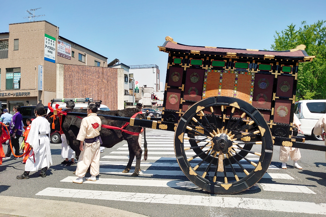 1000年の歴史を有する上御霊神社の「御霊祭・還幸祭」の華麗な行列を見学。その後、出雲氏ゆかりの知られざる寺院、神社を巡ります