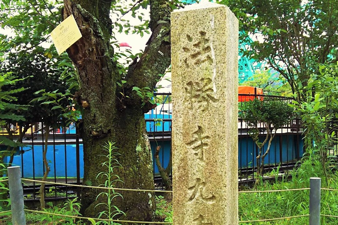 岡崎界隈の今昔さんぽ「 二条通 」平安後期の院政の中心地「 白河 」へ “ 国王の氏寺 ”と称された法勝寺跡を探して「 京都市動物園 」に入園!