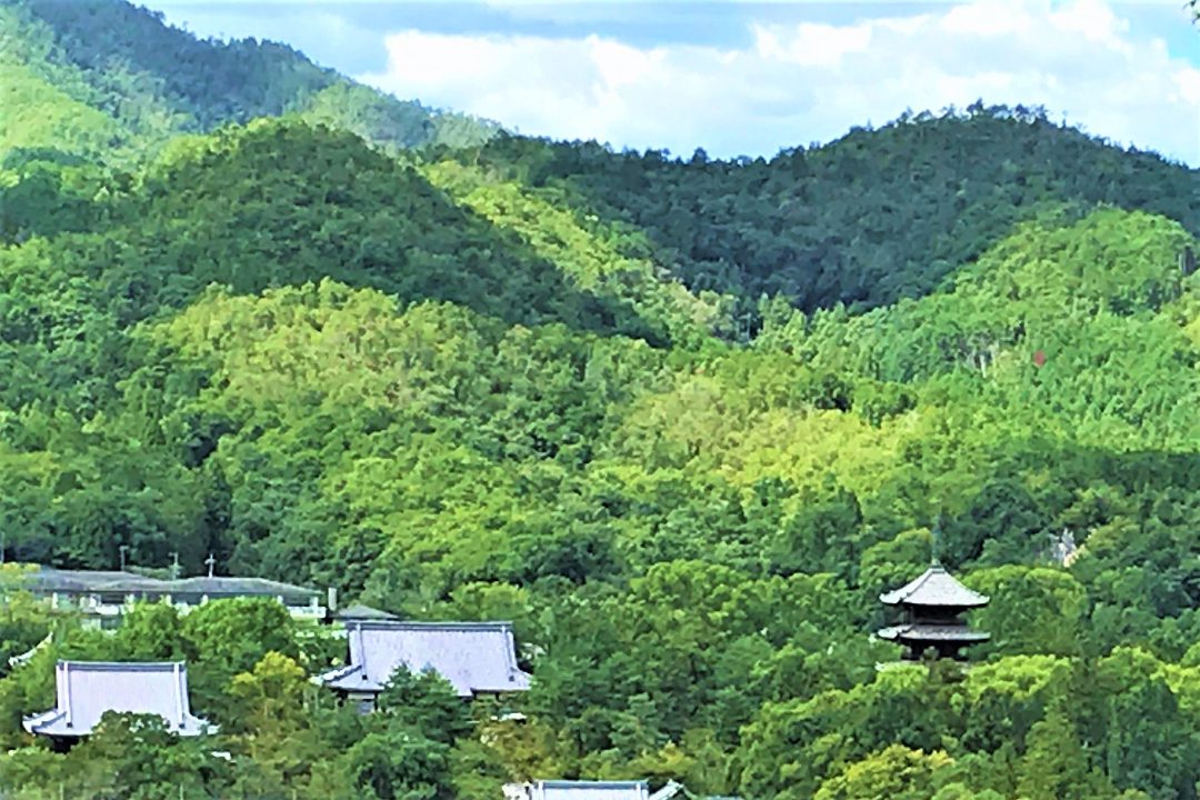 らくたび限定・特別体験 / 弘法大師・空海ゆかりの真言宗「 仁和寺 」 お遍路さんのご利益を授かる「 御室八十八ヶ所霊場巡礼 」成就山めぐり