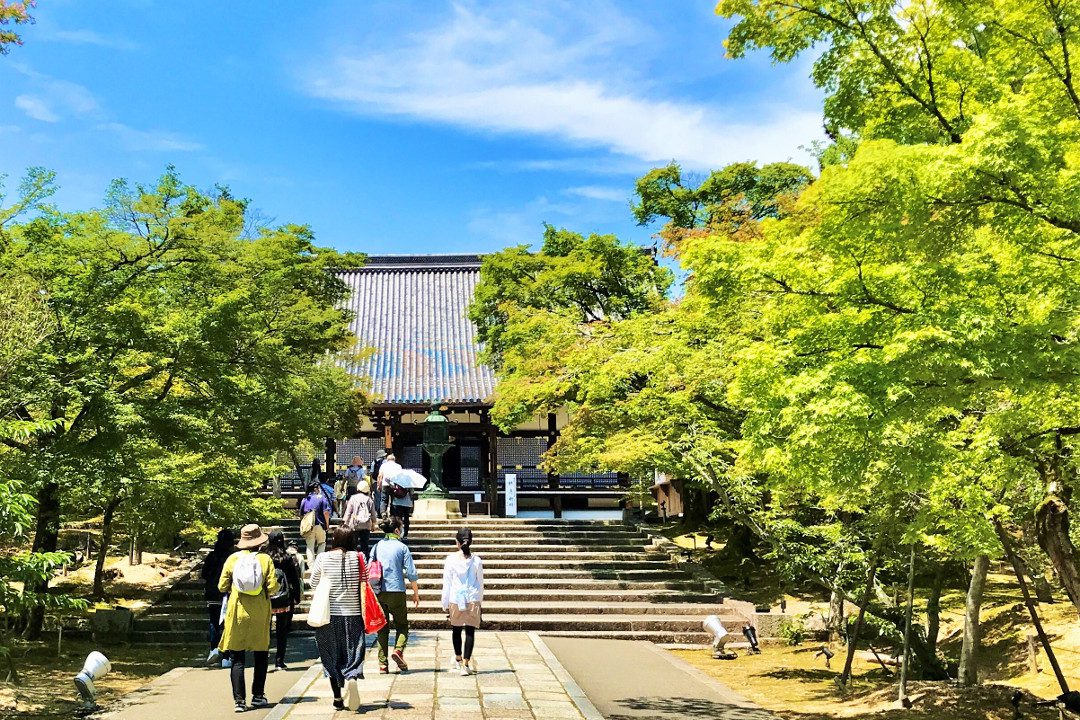 文化財の修復現場を特別見学! 仁和寺「 御室御殿 / 黒書院 」を巡る ここでしか学ぶことができない貴重な文化財の修復のヒミツに迫る!