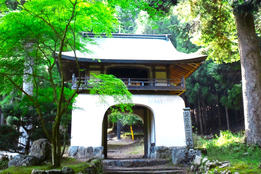 乗り心地は最高ラグジュアリー♪【 アルファード 】でゆく「 大原の里 」 アジサイが彩る「 三千院 」& ミイラ仏を祀る山深き「 古知谷 阿弥陀寺 」