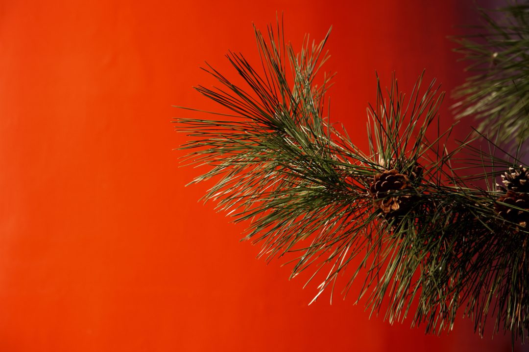 第10回 大坂城炎上と江戸時代