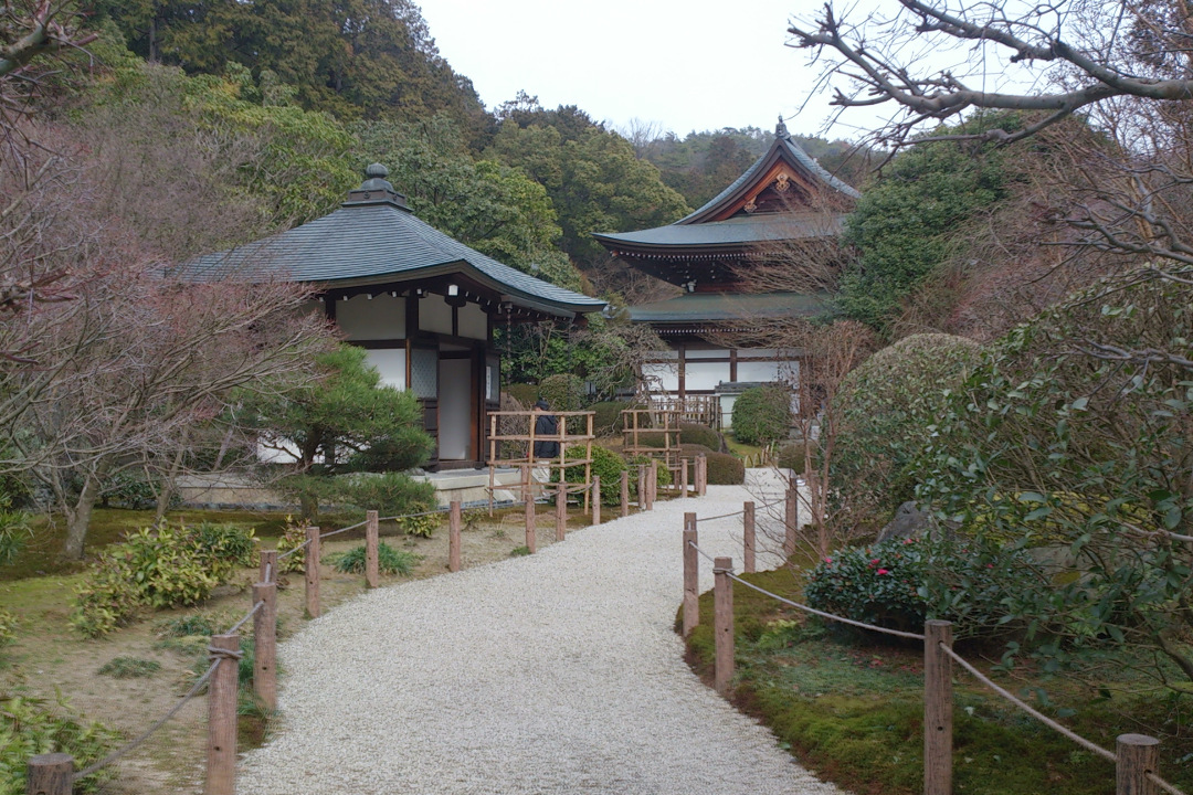 京都一の蓮名所!法金剛院の蓮池と国宝昇格した阿弥陀如来像を拝観 京の夏の旅初公開の龍安寺「西の庭」「仏殿」「細川勝元墓」と大心院へ