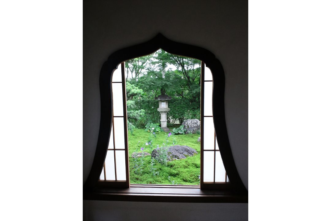 清々しい青もみじと鮮やかな花が彩る東福寺の塔頭へ。同聚院では 災難除けを願い不動明王を拝観し、天得院にて清楚な桔梗を鑑賞