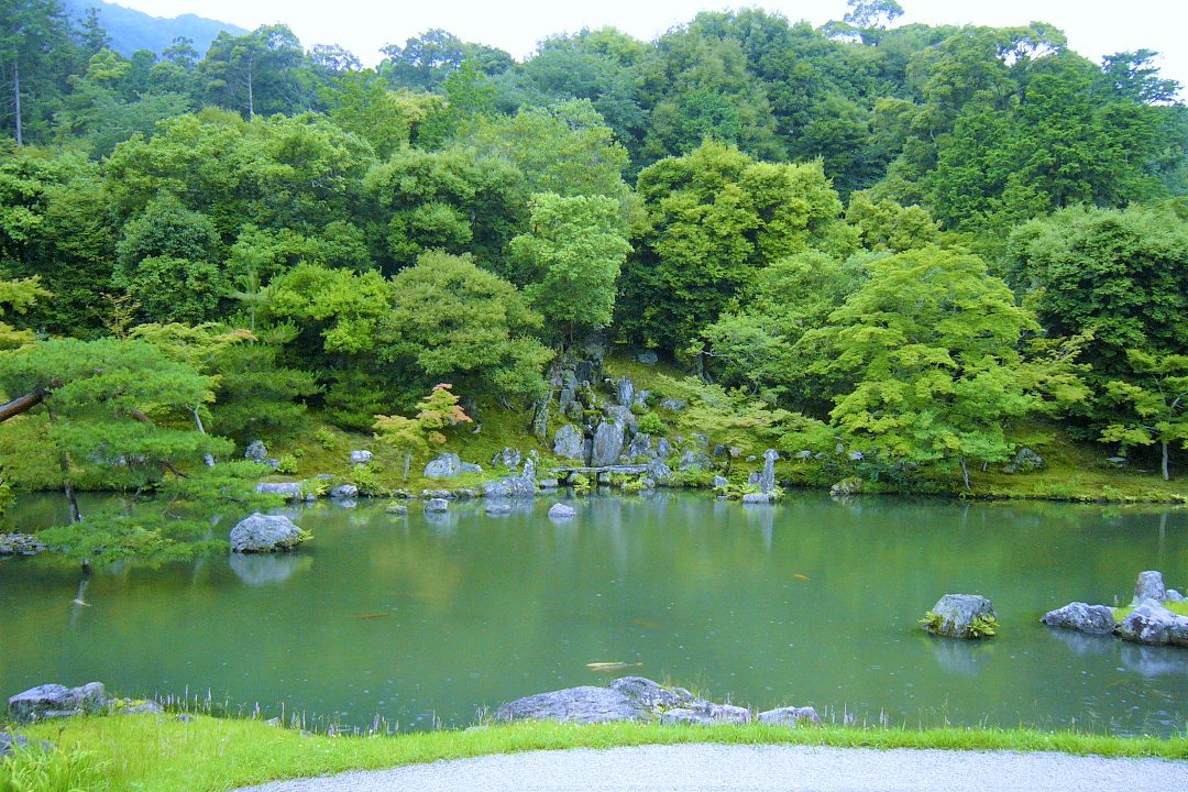 禅の名刹・天龍寺へ!天下の名勝・嵐山を借景とした緑に輝く曹源池庭園を堂内からも拝観。加山又造画伯による雲龍図も特別拝観へ