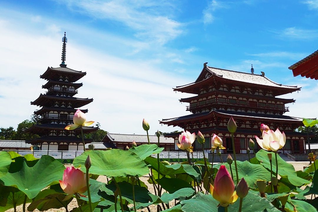 奈良の名城・郡山城跡と風情ある城下町を巡り、 暑い夏も無病息災・疫病退散を願って世界遺産の薬師寺へ