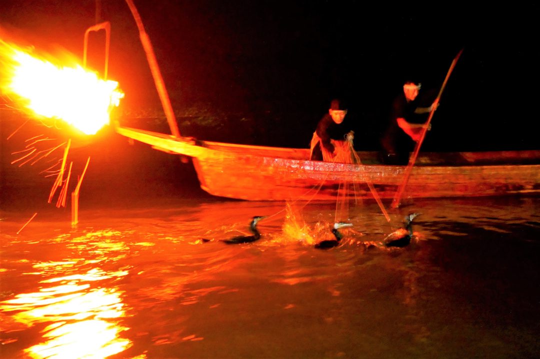 天下の名勝「 嵐山 」京の夏の風物詩!伝統を受け継ぐ嵐山“ 鵜飼 ”を眺めながら、屋形船で京料理に舌鼓み♪