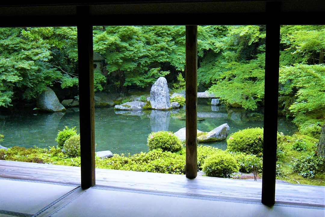 京の避暑地・洛北へ!静寂な森林に風そよぐ八瀬の社寺仏閣めぐり! 蓮華寺で青紅葉に包まれた悟りの境地の世界を表わす池泉庭園を鑑賞