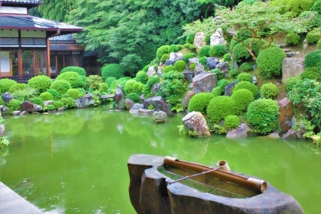 深山幽谷の趣漂う智積院の名勝庭園でしばし静寂を味わい、長谷川一派の国宝障壁画を鑑賞。新熊野神社では大樟のパワーをいただいて