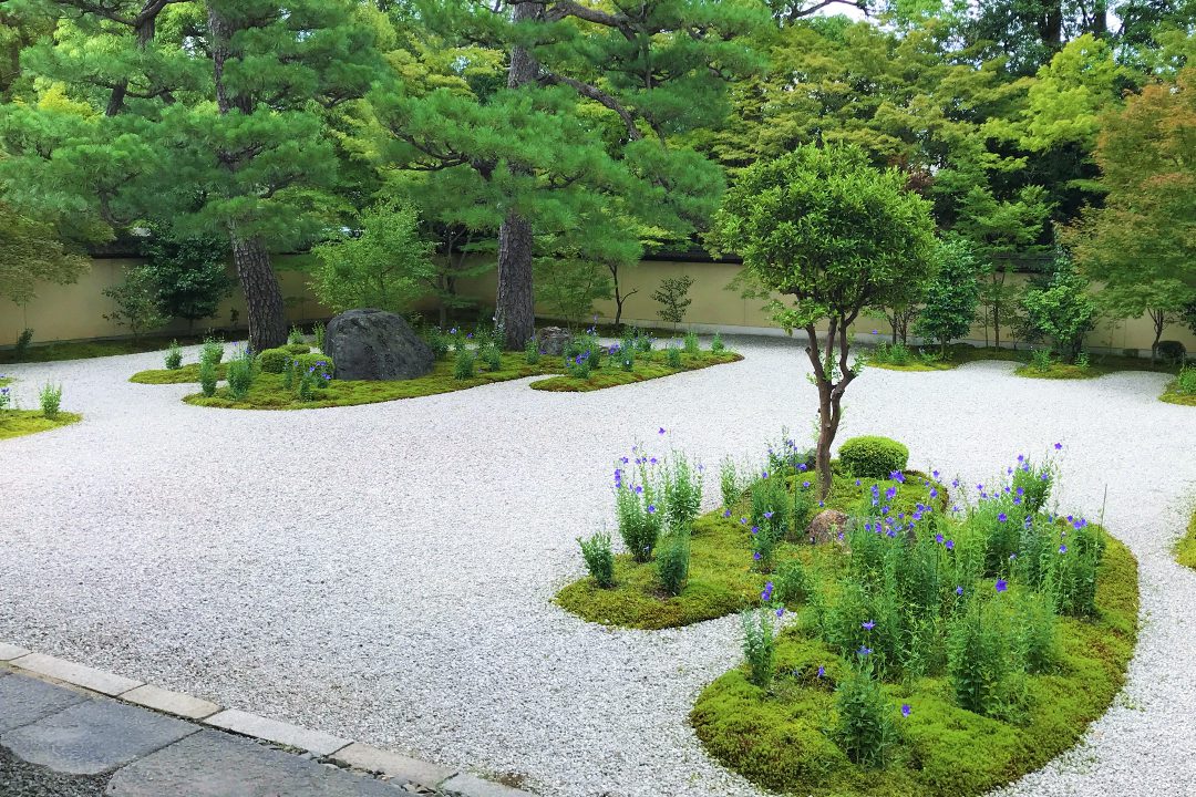 明智光秀ゆかりの地へ。光秀の報恩塔が残る天寧寺から、信長や 山中鹿之助の墓を巡り、最後は光秀の念持仏を特別公開している廬山寺へ