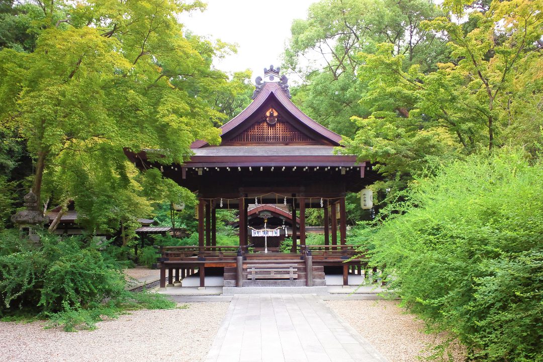 平安神宮から岡崎エリアを散策。可憐な萩の花が咲く真如堂をたずねて、 吉田山の森を眺望できる吉田山荘の真古館カフェで一服