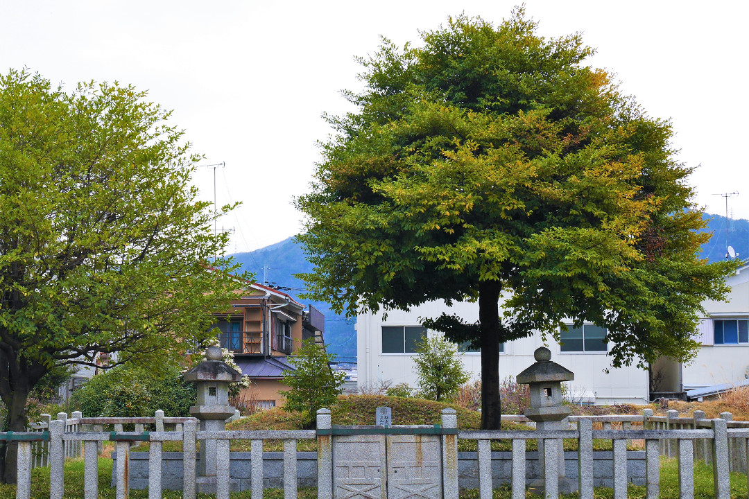 太古から受け継ぐ歴史を秘めた地に眠る、あの歴史上の人物とは・・・! 歴史ロマンあふれる「 墓参り 」と、古代の「 古墳 」で大コーフン♪