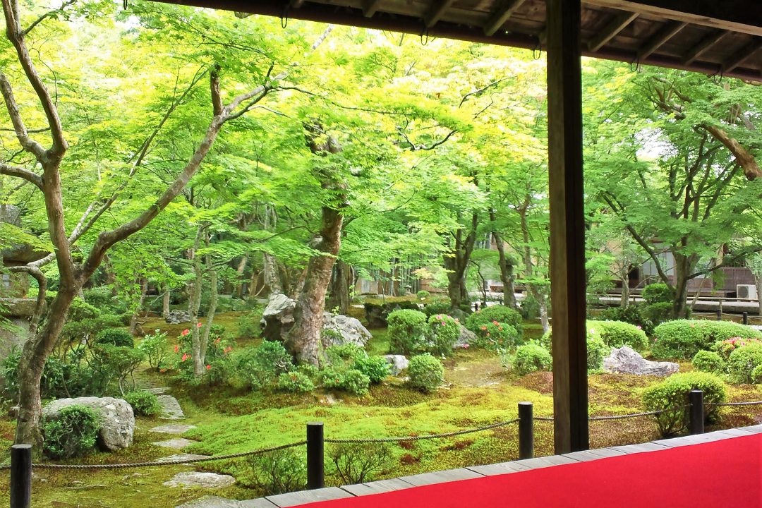 洛北屈指の名刹で天台宗五箇室門跡のひとつ・曼殊院へ。比叡山麓の 長閑な道を辿り、圓光寺では趣の異なる庭園を心ゆくまで味わって