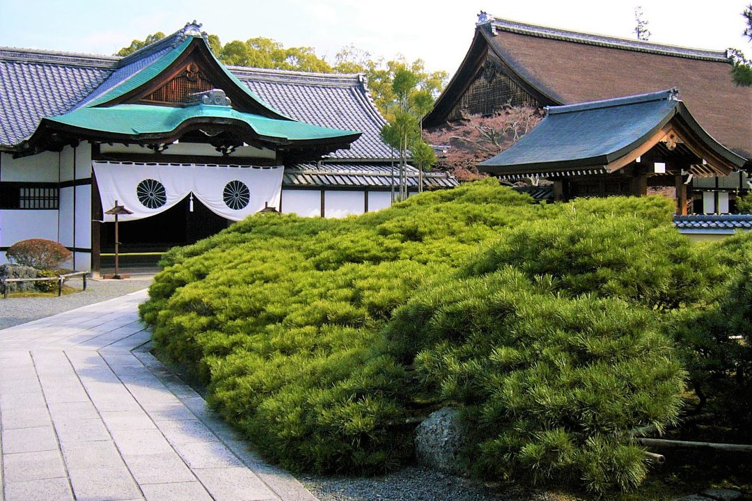 大覚寺門跡の勅封心経殿60 年ぶりの特別御開帳 歴代天皇の写経開封へ