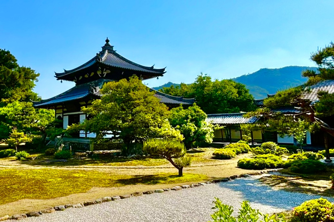 【 鹿王院 】一年に一度の「 多宝塔 」釈迦の遺骨“ 仏牙舎利 ”御開帳 と 天龍寺塔頭【 弘源寺 】嵐山屈指“ 虎嘯の庭 ”& 寺宝の絵画を鑑賞へ
