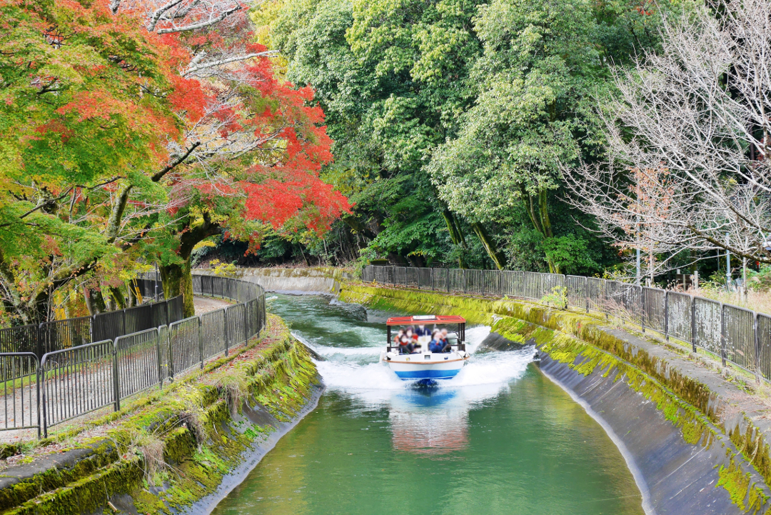祝♪ 国宝指定! らくたび 貸し切り【 びわ湖疏水船 】爽快クルージング 秋の美景が続く「 滋賀 三井寺前 」から「 京都 蹴上 」へ