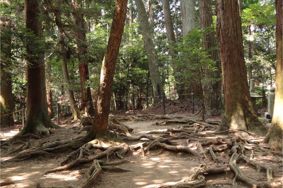 牛若丸伝説が今も息づく京都を守る北方の古刹 山々に包まれた鞍馬寺へ