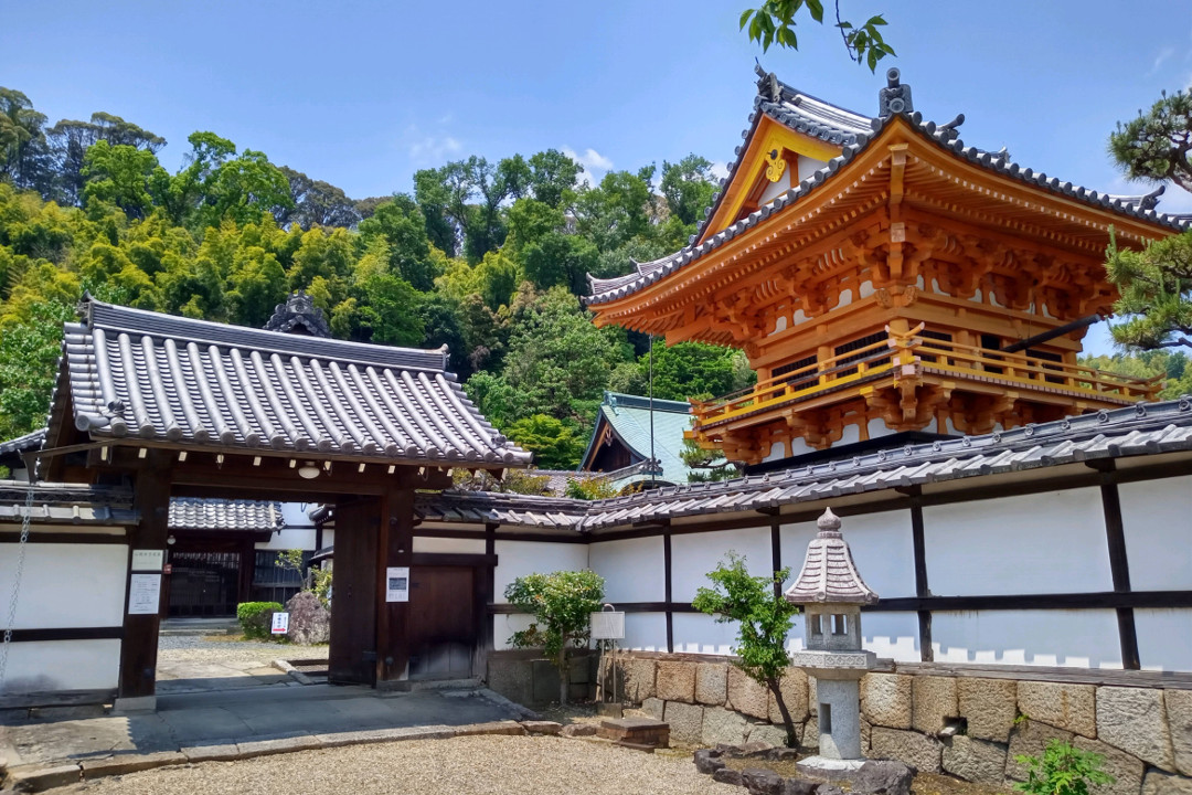 特別公開!江戸初期建立の華麗な本堂・唐門・大方丈が残る「 正法寺 」 徳川家康 側室であり、尾張藩祖・義直の母「 お亀の方 」菩提寺へ