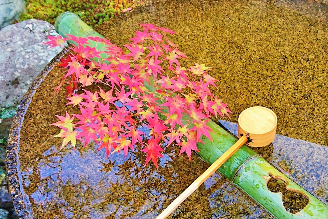 洛北随一の紅葉スポット三選! 起伏に富む枯山水庭園「 金福寺 」 鹿おどしの音が響く「 詩仙堂 」と 絵画のような庭園美「 圓光寺 」へ