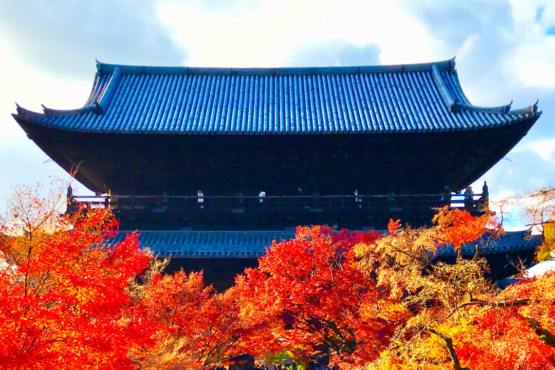 美しい紅葉が彩る秋期特別公開の古刹【 霊鑑寺 】【 安楽寺 】拝観と南禅寺、永観堂、そして哲学の道へ“ 京都屈指の紅葉名所 ”さんぽへ