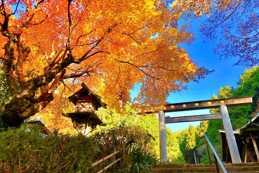 錦秋の神社さんぽ・第1弾“ 京のお伊勢さん ”日向大神宮の紅葉と 熊野の神、出雲の神、祇園の神、稲荷の神、ご利益たっぷりの参拝へ