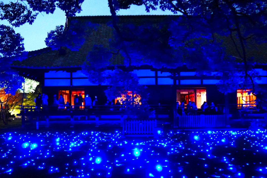 修復完了!今秋6年ぶり【 青蓮院 】「 紅葉 」夜間ライトアップ特別拝観 浄土宗総本山【 知恩院 】庭園「 友禅苑 」を彩る幻想の紅葉ライトアップ